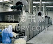 DWC Series Dryer for Vegetable Dehydration